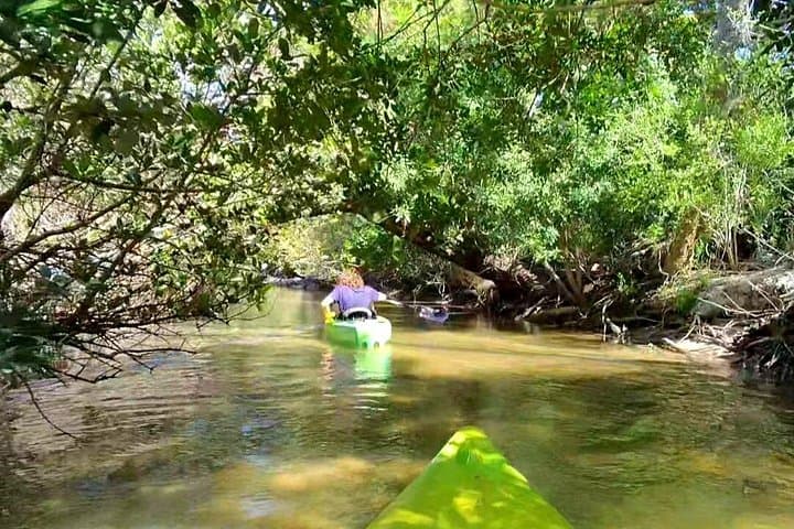 Clear-Bottom Kayak Tour through Mosquito Lagoon and Canaveral National Seashore photo 4