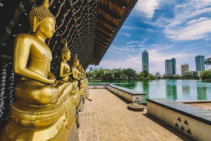 Sri Lanka by Private Car: A Week of Tea Hills, Lion Rock & Coastal Reefs photo 3