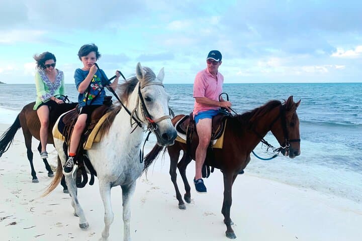 Sunset Horseback Ride on Providenciales Beaches: Wheeland Coastal Sunset Ride photo 5