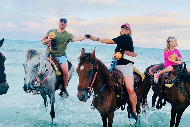 Sunset Horseback Ride on Providenciales Beaches: Wheeland Coastal Sunset Ride photo 6