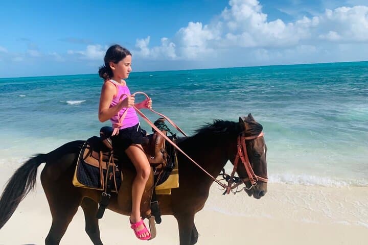 Private 60-Minute Beach Horseback Ride in Turks and Caicos photo 6