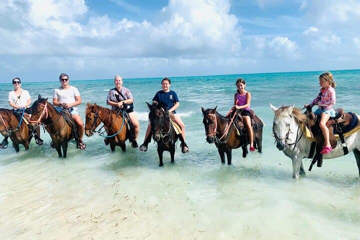 Beach Horseback Riding in Providenciales — Small-Group Caicos Trail Ride photo 4