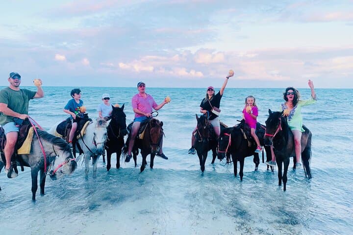 Beach Horseback Riding in Providenciales — Small-Group Caicos Trail Ride photo 5