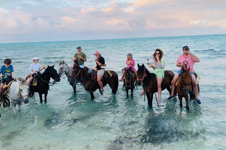 Beach Horseback Riding in Providenciales — Small-Group Caicos Trail Ride photo 6