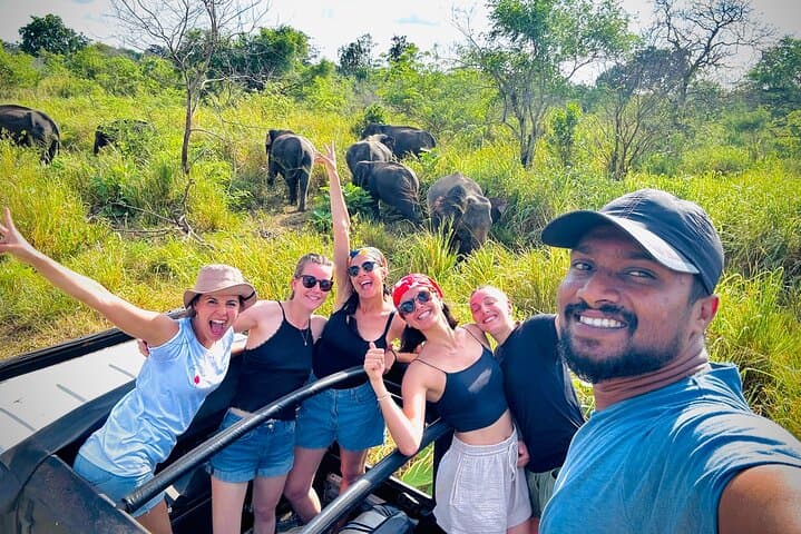 Minneriya Half-Day Safari: Elephant Herds & Birdlife near Sigiriya photo 6