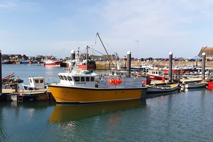 Howth and Malahide Private Tour: Cliff Walks, Castle & Coastal Villages photo 2