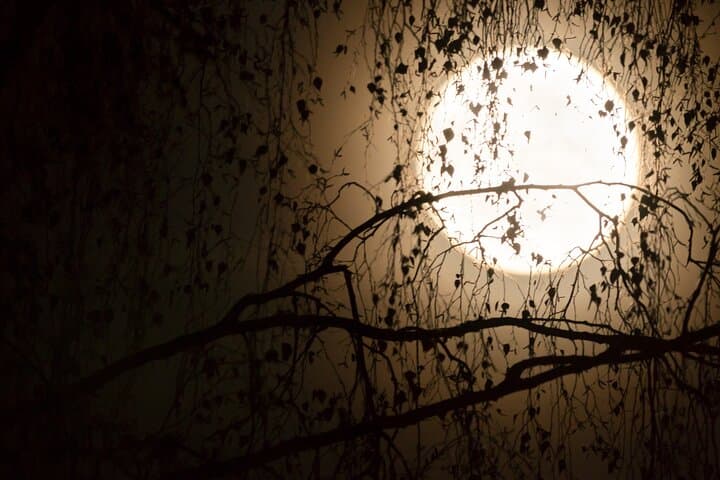 Nimes Outdoor Magic Escape Game: Curse of the Doomed Passage photo 4