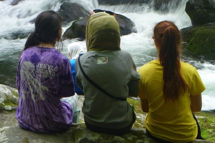 Smokies History, Streams & Forest Hike — Guided Greenbrier Walk Near Gatlinburg photo 3
