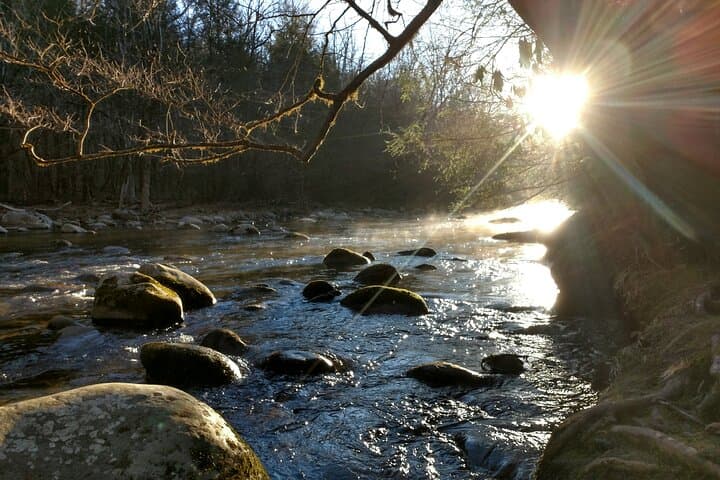 Smokies History, Streams & Forest Hike — Guided Greenbrier Walk Near Gatlinburg photo 2
