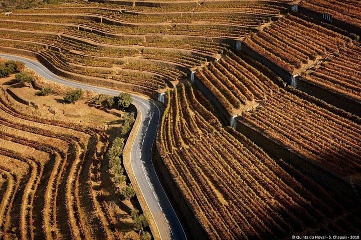 4x4 Douro Wine Tasting Private Tour: Private Off‑Road & Yacht Cruise from Porto