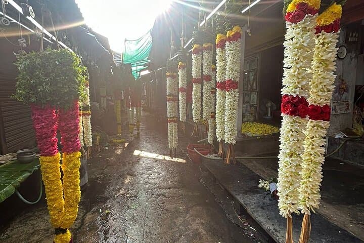 Temple Trails & Kerala Backwaters: South India 12–14 Day Cultural and Nature Journey photo 2