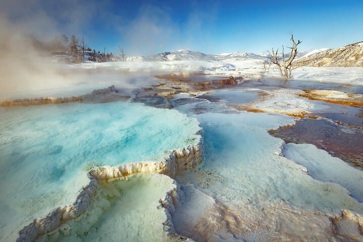 Yellowstone Winter Wildlife Safari: Lamar Valley Wolves & Mammoth Hot Springs Snowshoe photo 4