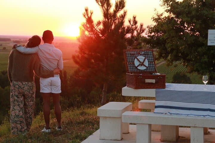 4x4 Vineyard Tour in Cognac: Off-Road Discovery and Cocktail Tasting photo 4
