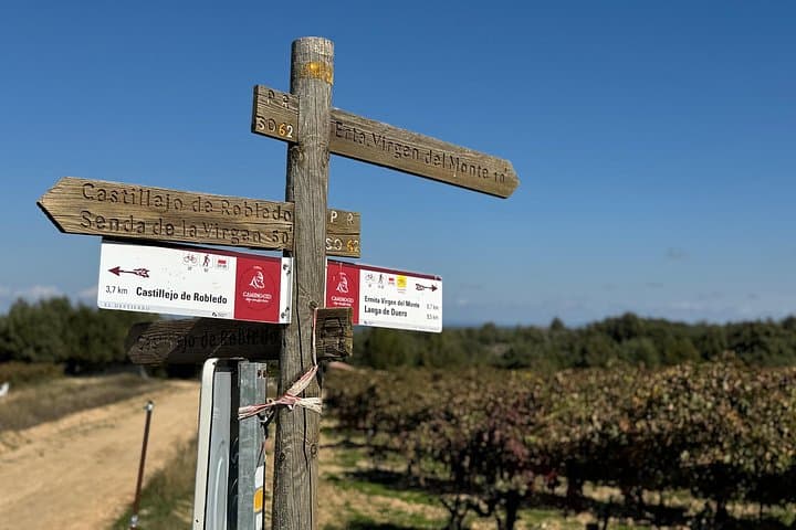Follow the Cid: Private 2-Day Route Through Burgos, Soria & Guadalajara photo 4