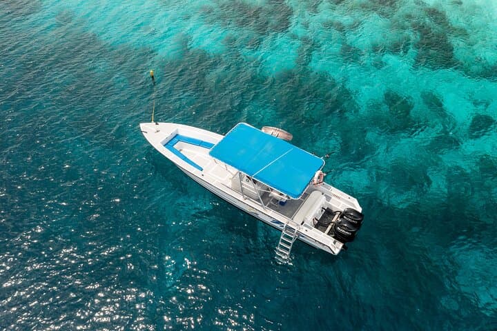 Private Boat Dive Charter in Bonaire: Two-Tank Guided Dives from Harbor Village Marina photo 3