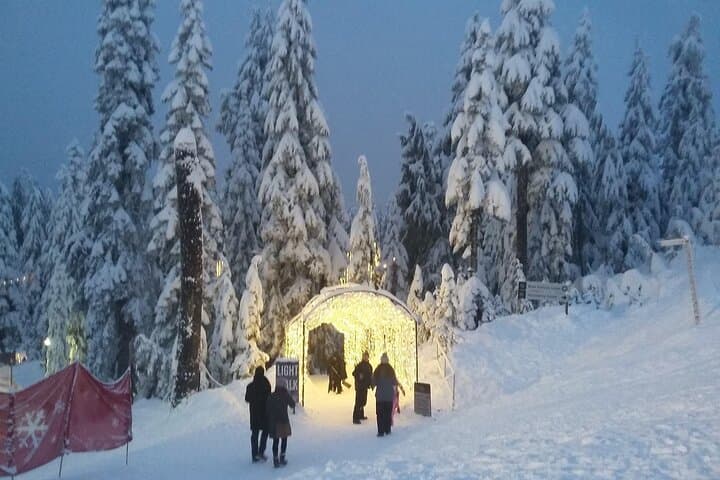 Private North Shore Peaks: Grouse, Cypress & Mount Seymour Day Tour from Vancouver photo 3