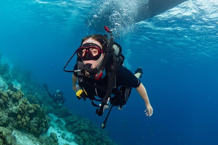 Private Boat Dive Charter in Bonaire: Two-Tank Guided Dives from Harbor Village Marina photo 1