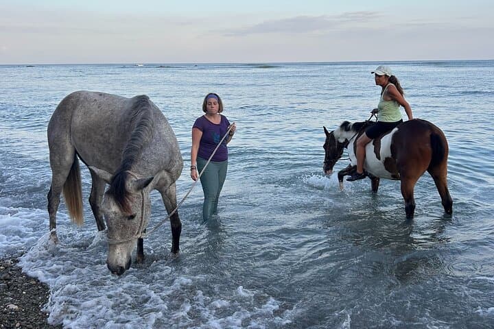 Bareback on Costa Rica’s Cabuya Coast: Horseback Healing at Resonance Ranch photo 5