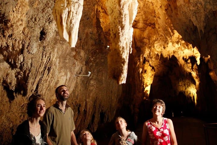 Auckland to Rotorua via Waitomo Glowworm Caves — Private One‑Way Day Tour photo 2