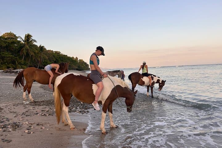 Bareback on Costa Rica’s Cabuya Coast: Horseback Healing at Resonance Ranch photo 2