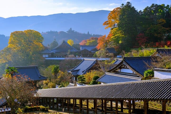 Relaxed Nara Day Tour: Hasedera & Murouji Temples from Osaka photo 4