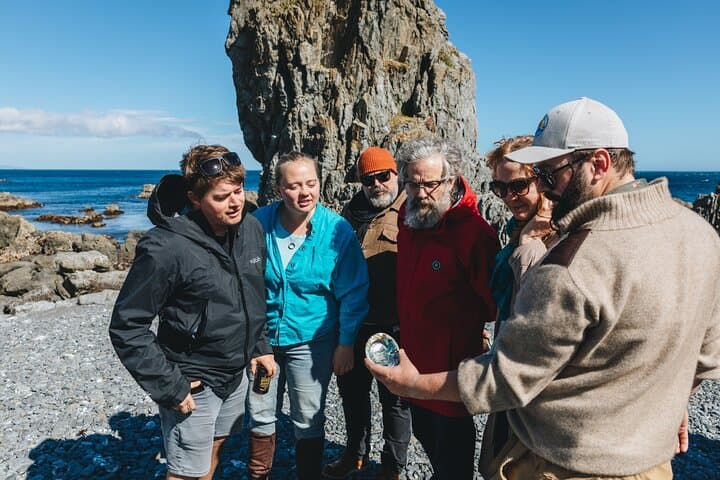 Seal Coast Safari: 4WD Access to Wellington’s Secret Coast and Fur Seals photo 2
