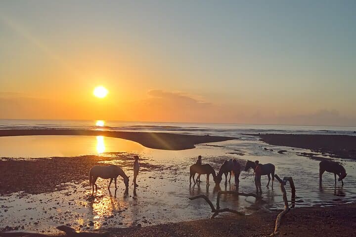 Bareback on Costa Rica’s Cabuya Coast: Horseback Healing at Resonance Ranch photo 6