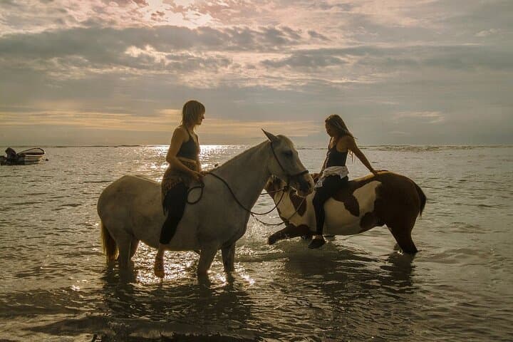 Bareback on Costa Rica’s Cabuya Coast: Horseback Healing at Resonance Ranch