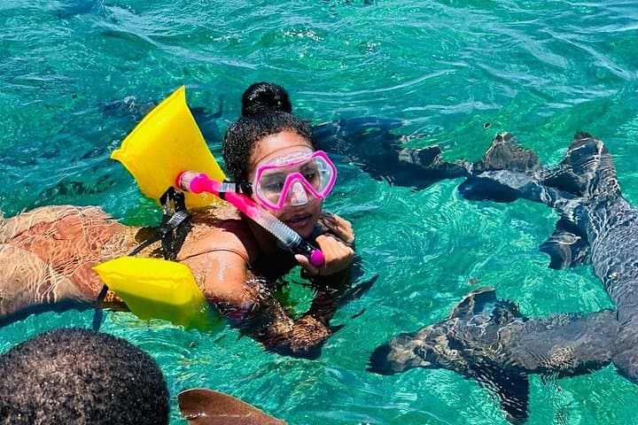 San Pedro Private Snorkeling Tour — Sharks, Manatees & Hol Chan Reef photo 4
