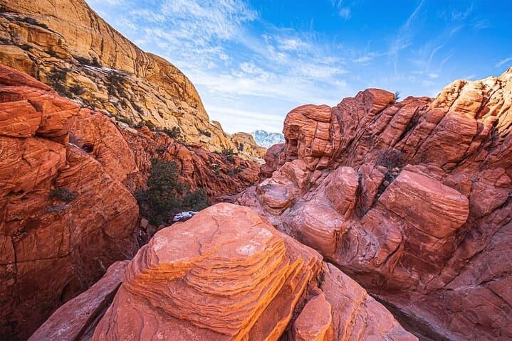 Red Rock Canyon Scenic Loop Tour — Guided Panoramic Views from Las Vegas photo 4