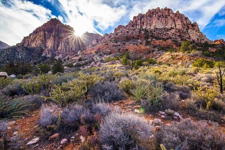 Red Rock Canyon Scenic Loop: Award-Winning Day Tour from Las Vegas photo 5