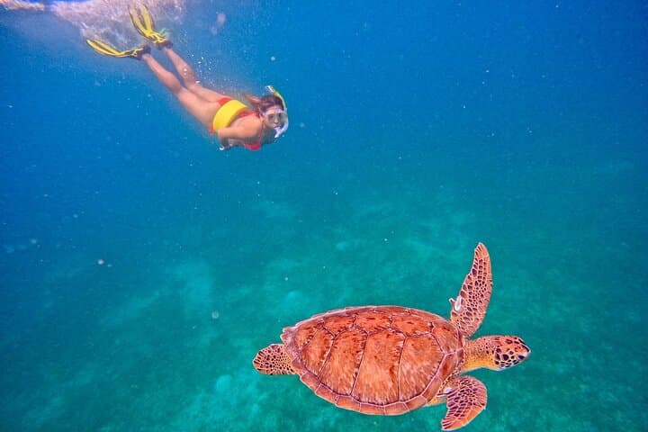 Culebra Day Trip: Swim with Turtles and Flamenco Beach Ferry Adventure photo 4
