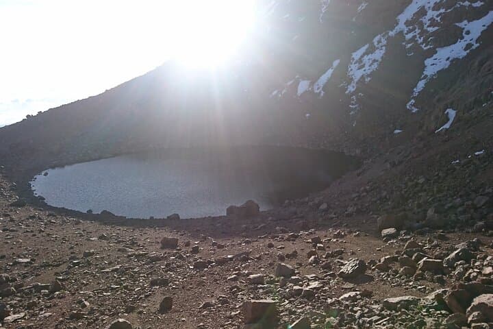 Naro Moru Day Hike on Mount Kenya: Heather, Moorlands & Alpine Views photo 4