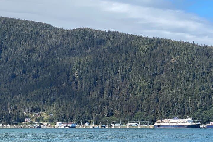 Discover Juneau: Mendenhall Glacier Hike and Whale Watching Adventure photo 4