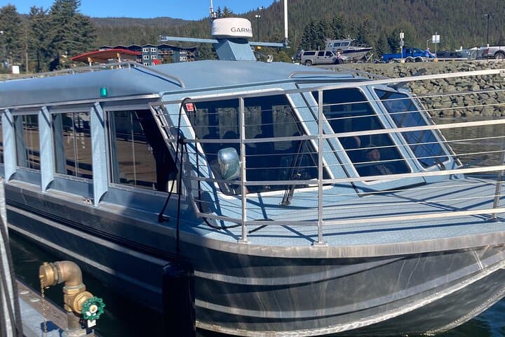 Discover Juneau: Mendenhall Glacier Hike and Whale Watching Adventure photo 5