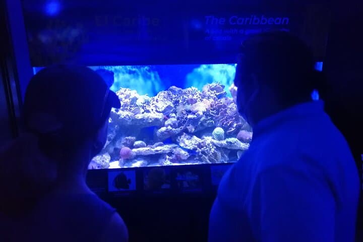 Panama City BioTour: Rainforest Hike, Biomuseo & Punta Culebra Day Trip photo 6