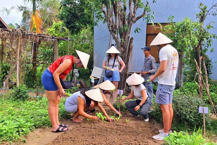 Hoi An Vespa Cooking Adventure: Market-to-Table Class in Tra Que photo 5