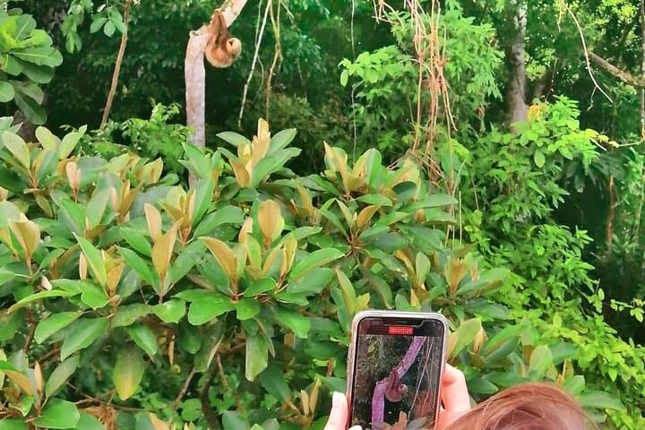 Gatun Lake & Soberania Wildlife Sightseeing: Panama Canal Nature Tour photo 6