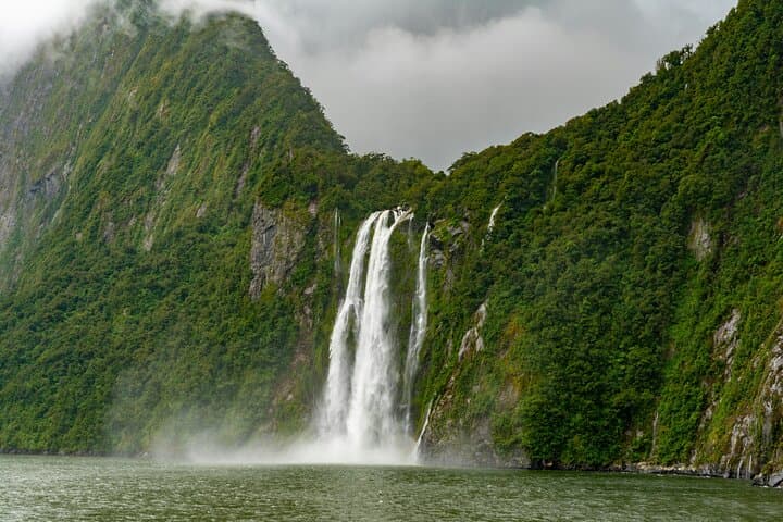 From Te Anau to Piopiotahi: Epic Milford Sound Day Tour photo 4