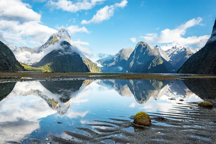 From Te Anau to Piopiotahi: Epic Milford Sound Day Tour photo 5