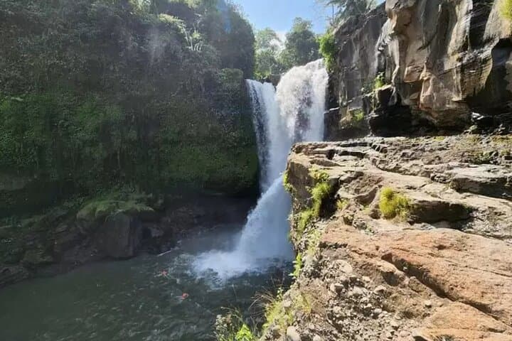 Quad Bikes & Temples: Bali Off-Road Adventure and Ubud Private Day Tour photo 5