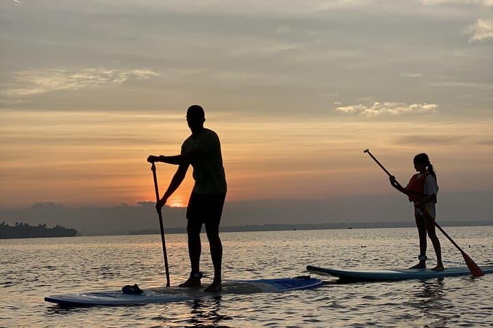 Sunrise Stand-Up Paddleboarding on Kochi Backwaters