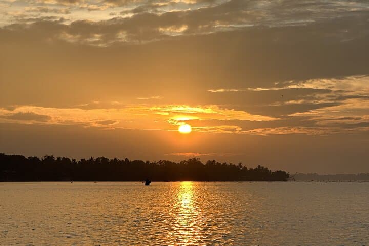 Sunrise Stand-Up Paddleboarding on Kochi Backwaters photo 3