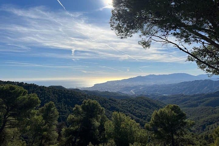 Mountain E-Bike Rental in Málaga: Huelin Beach to Montes Trails photo 2