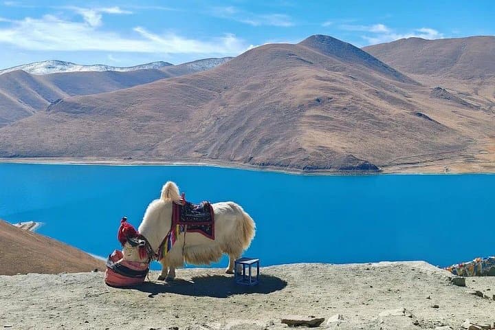 12-Day Lhasa, Everest & Mt Kailash Overland Pilgrimage: Lhasa to Kathmandu photo 5