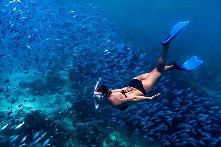 Gate of Heaven to Blue Lagoon: Private Day Tour from Ubud photo 3