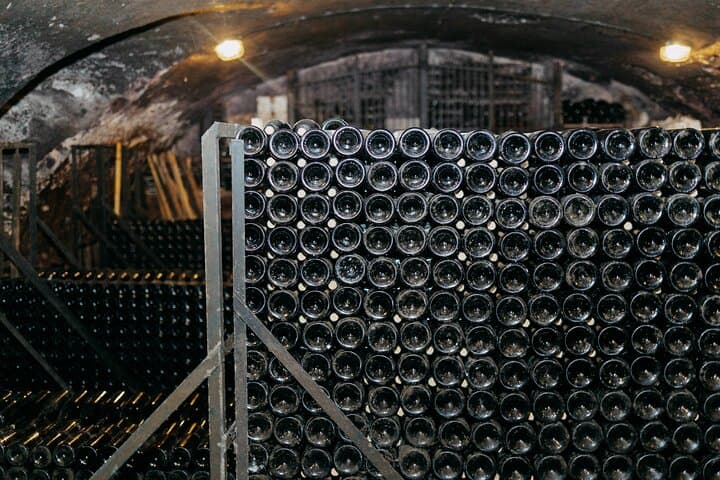 Beaujolais Half-Day Wine Tasting Tour from Lyon — Château de Pizay & Family Cellar photo 4