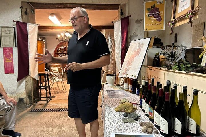 Beaujolais Half-Day Wine Tasting Tour from Lyon — Château de Pizay & Family Cellar photo 5