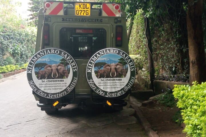 Amboseli Day Safari: Elephants, Plains Game and Kilimanjaro Views