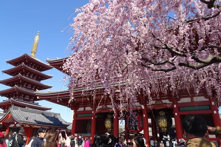Private Tokyo Tour with Expert Local Guide — Custom 4- or 8-Hour Experience photo 2